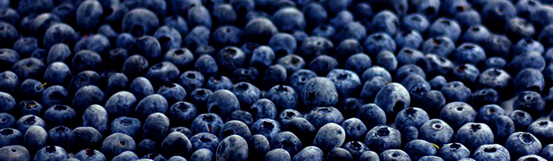 Шкафы шоковой заморозки SMEG